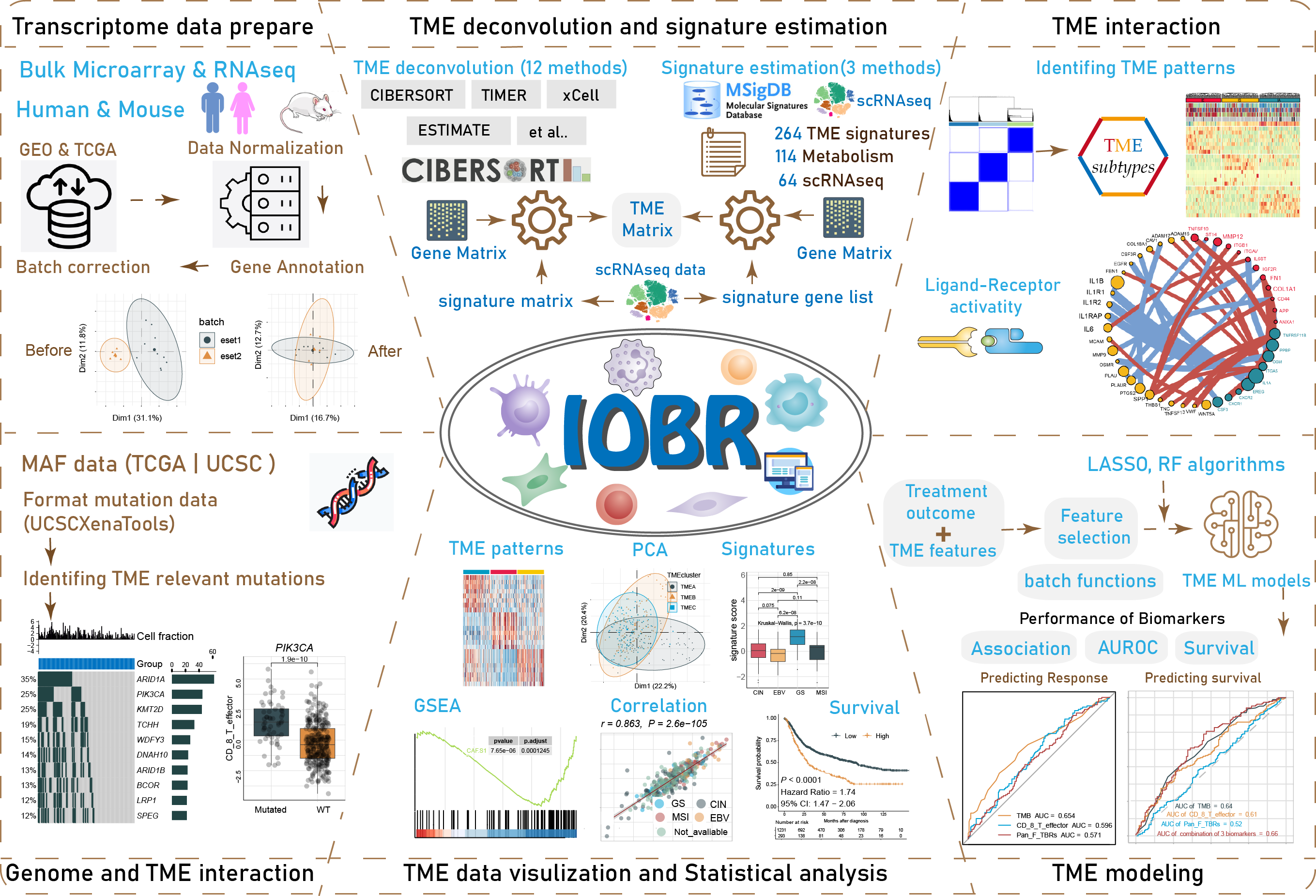 IOBR Workflow