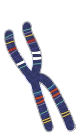 [logo]